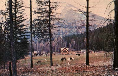 The owners of this remote homestead in the mountains of western Montana now enjoy the comforts of electricity, thanks to the I.P.D. turbine generator. Better yet, they know that their hydroelectric system has minimum impact on the surrounding environment.